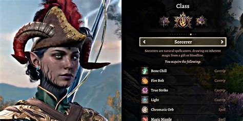 bg3 paladin sorcerer multiclass|Baldur's Gate 3: Best Paladin & Sorcerer Multiclass Build.
